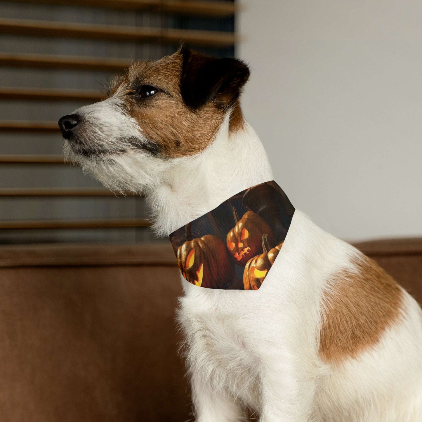 Trick Or Treat Bandana | Doggy Bandana