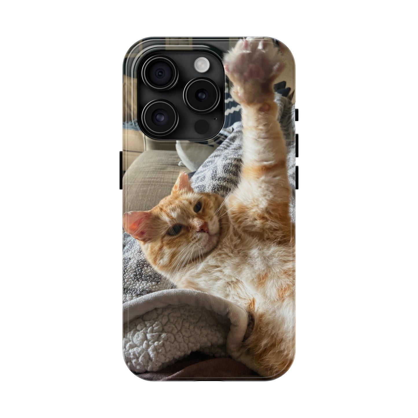 Alfred the Cat's "All In" Phone Case for iPhone - Lightweight, Impact Resistant, Wireless Charging Compatible