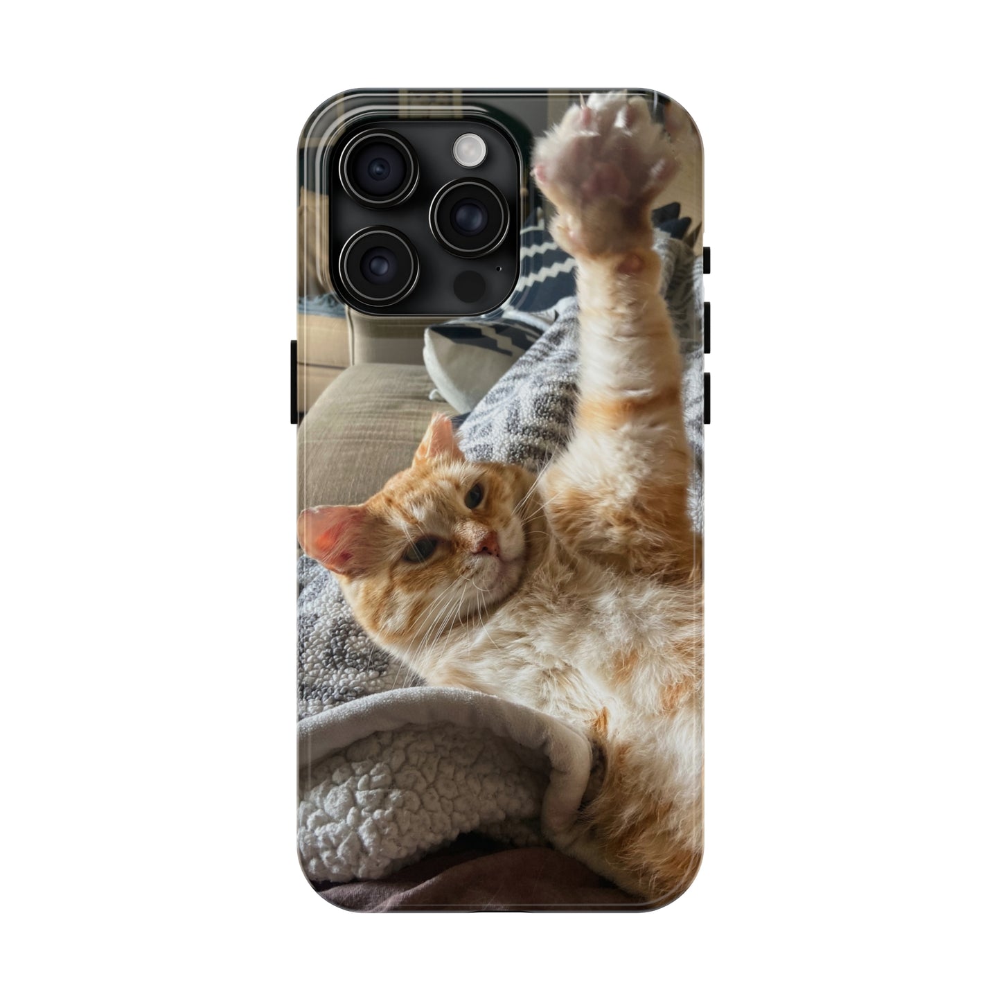 Alfred the Cat's "All In" Phone Case for iPhone - Lightweight, Impact Resistant, Wireless Charging Compatible