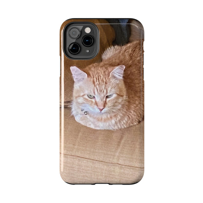 Alfred the Cat's "Couch Potato" Phone Case for iPhone - Lightweight, Impact Resistant, Wireless Charging Compatible