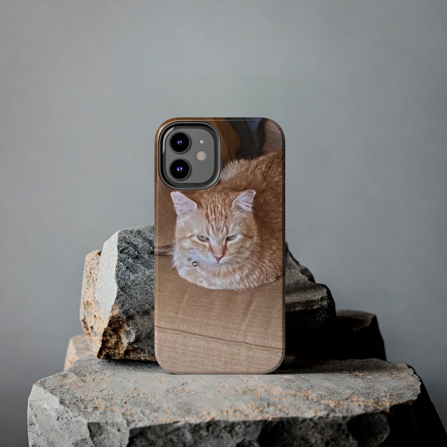 Alfred the Cat's "Couch Potato" Phone Case for iPhone - Lightweight, Impact Resistant, Wireless Charging Compatible