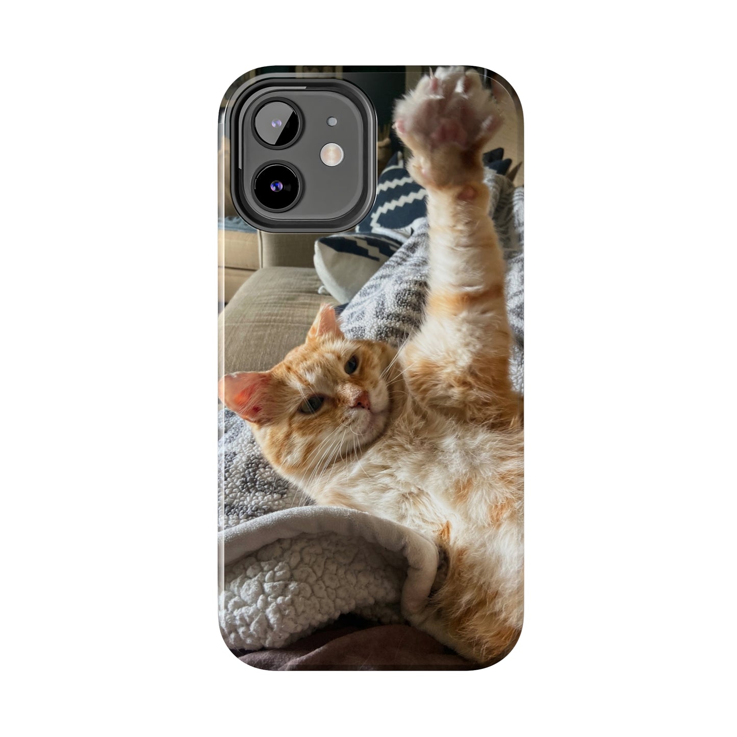 Alfred the Cat's "All In" Phone Case for iPhone - Lightweight, Impact Resistant, Wireless Charging Compatible