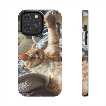 Alfred the Cat's "All In" Phone Case for iPhone - Lightweight, Impact Resistant, Wireless Charging Compatible