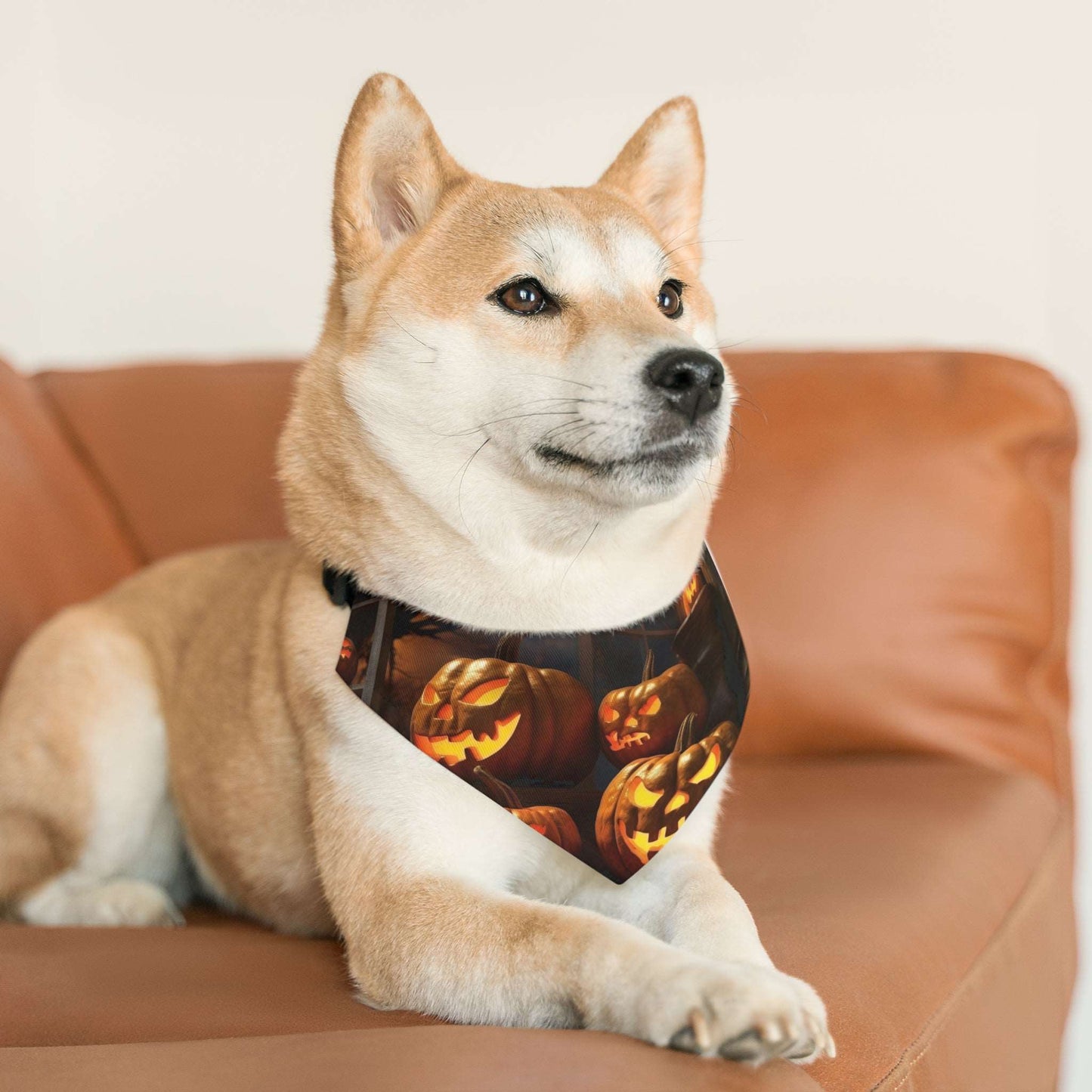 Trick Or Treat Bandana | Doggy Bandana