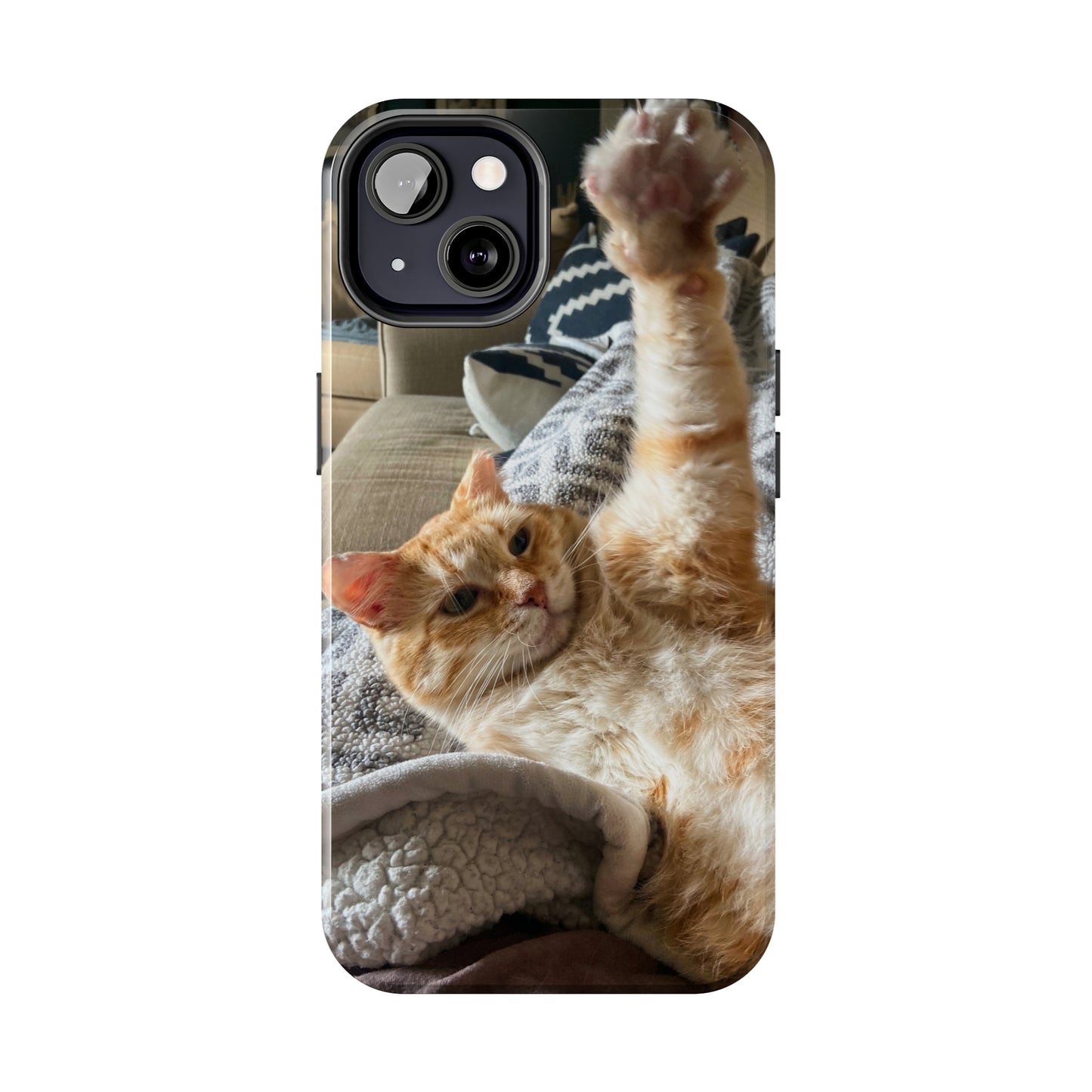 Alfred the Cat's "All In" Phone Case for iPhone - Lightweight, Impact Resistant, Wireless Charging Compatible