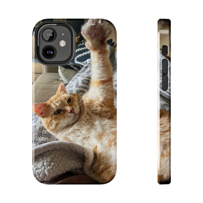 Alfred the Cat's "All In" Phone Case for iPhone - Lightweight, Impact Resistant, Wireless Charging Compatible