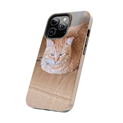 Alfred the Cat's "Couch Potato" Phone Case for iPhone - Lightweight, Impact Resistant, Wireless Charging Compatible