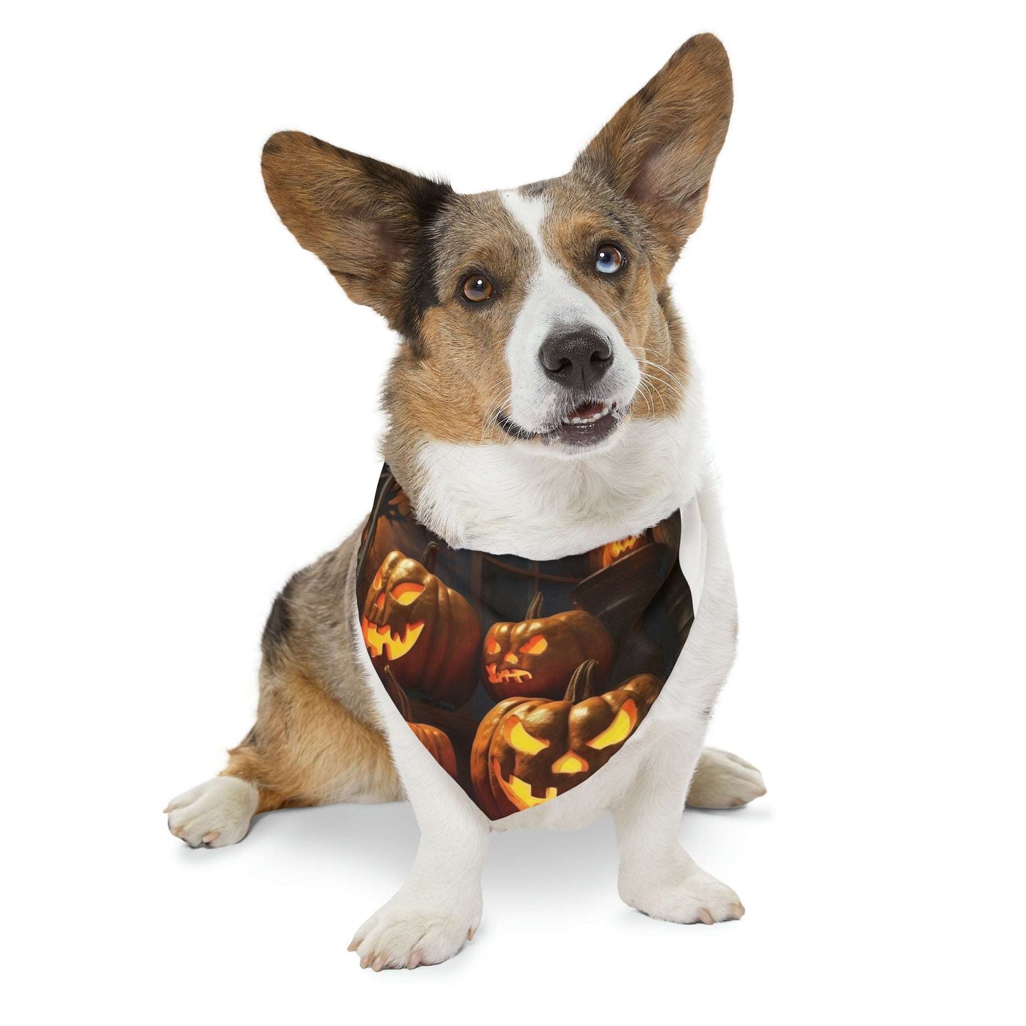 Trick Or Treat Bandana | Doggy Bandana