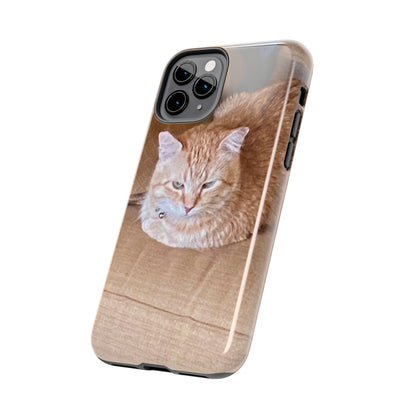 Alfred the Cat's "Couch Potato" Phone Case for iPhone - Lightweight, Impact Resistant, Wireless Charging Compatible