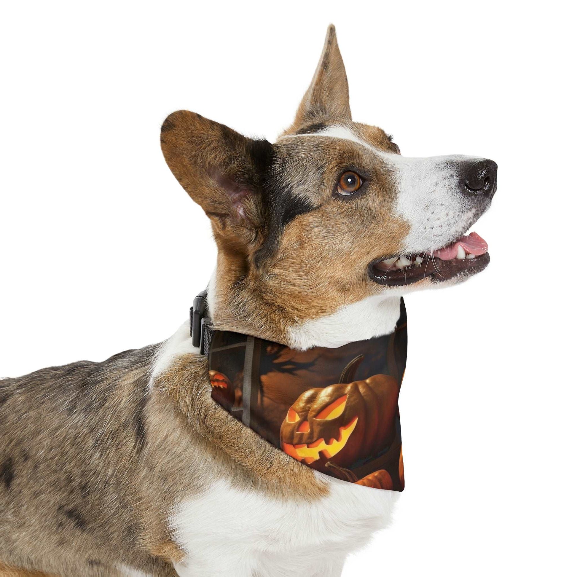 Trick Or Treat Bandana | Doggy Bandana