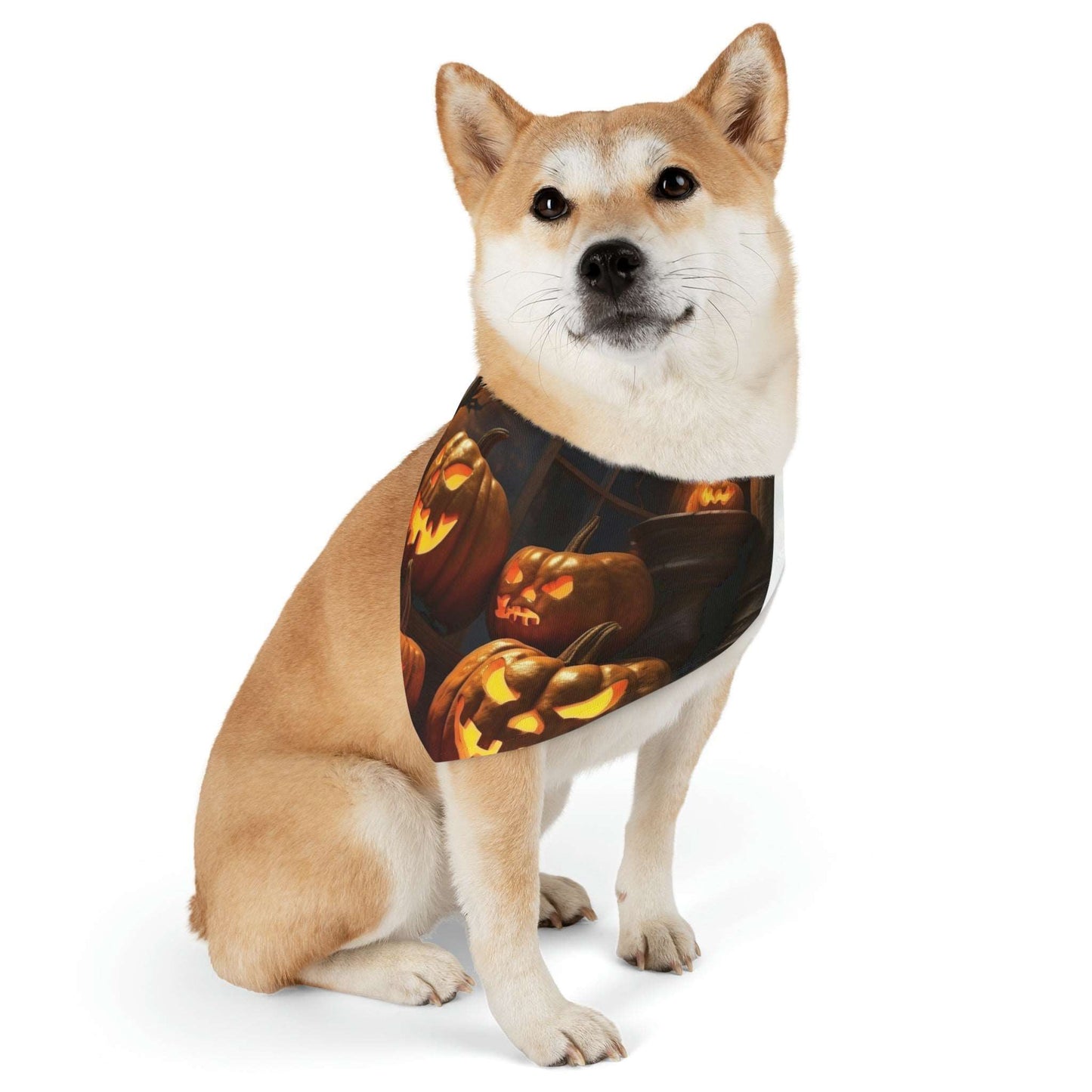 Trick Or Treat Bandana | Doggy Bandana