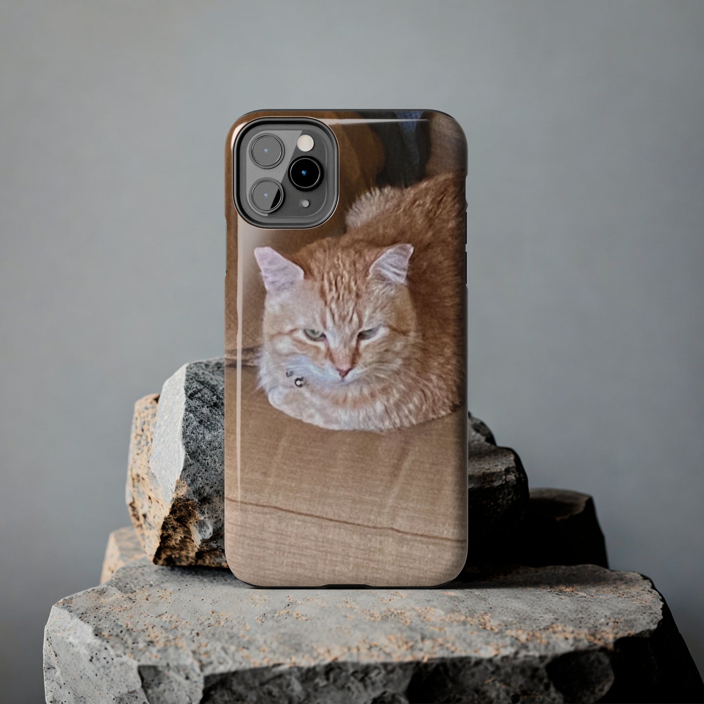 Alfred the Cat's "Couch Potato" Phone Case for iPhone - Lightweight, Impact Resistant, Wireless Charging Compatible