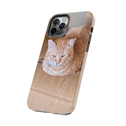 Alfred the Cat's "Couch Potato" Phone Case for iPhone - Lightweight, Impact Resistant, Wireless Charging Compatible