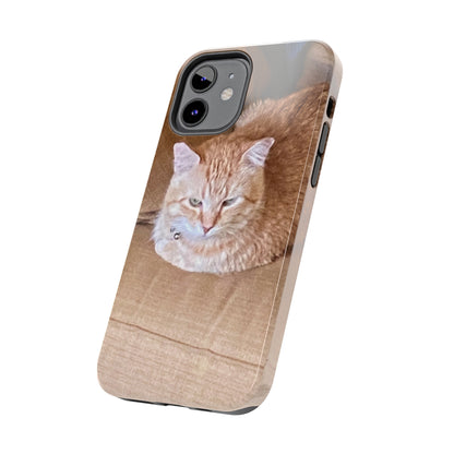 Alfred the Cat's "Couch Potato" Phone Case for iPhone - Lightweight, Impact Resistant, Wireless Charging Compatible